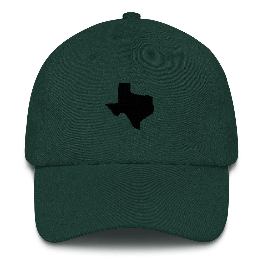 Texas Baseball hat
