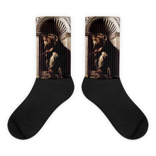 Aristotle Socks