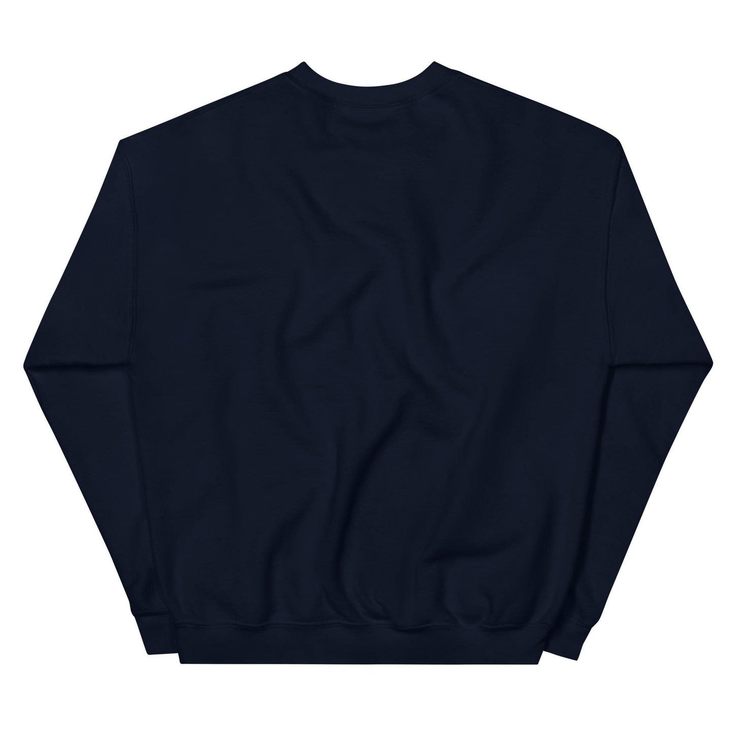 Tax the Wealthy- Theodore Roosevelt Sweatshirt