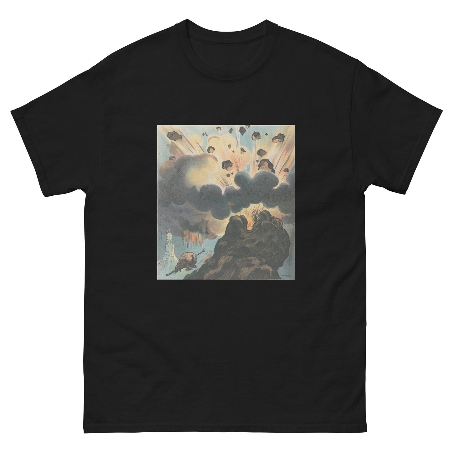 Tax the Wealthy- Theodore Roosevelt Tee