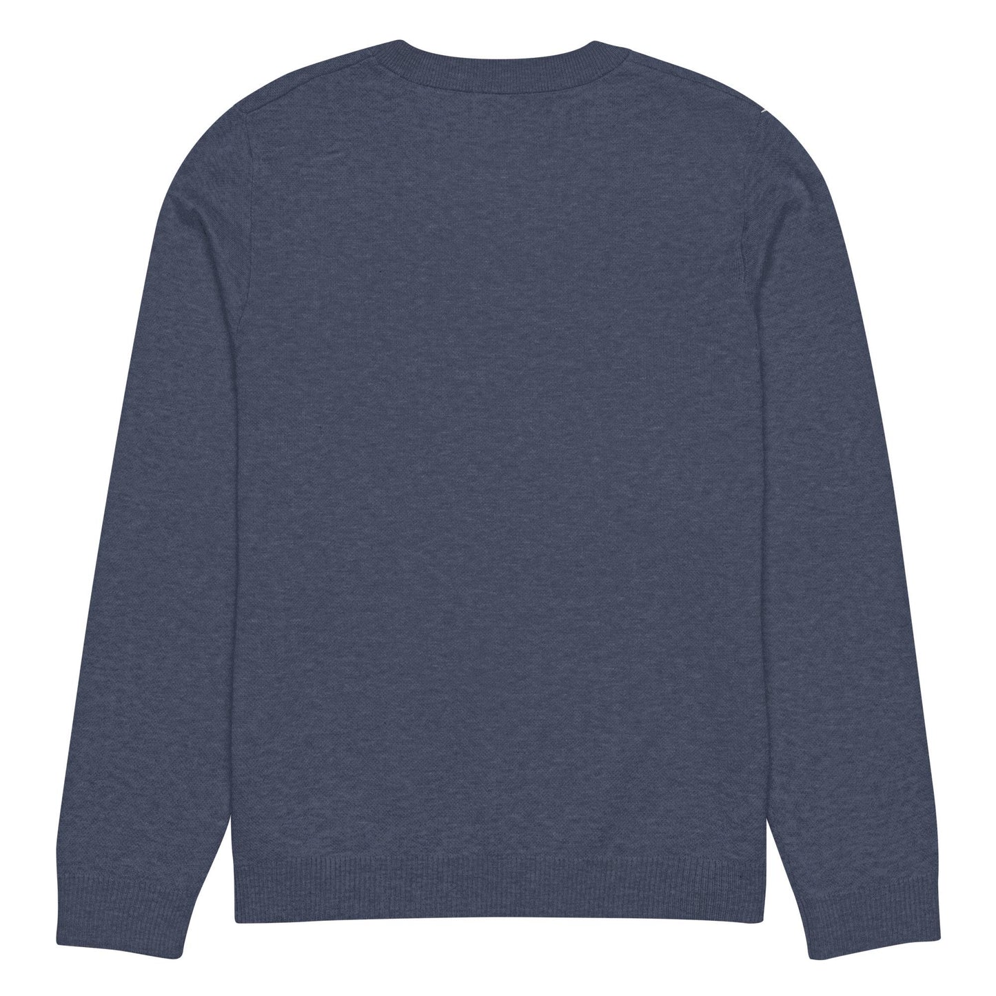 Compass Knitted Crew Neck Sweater