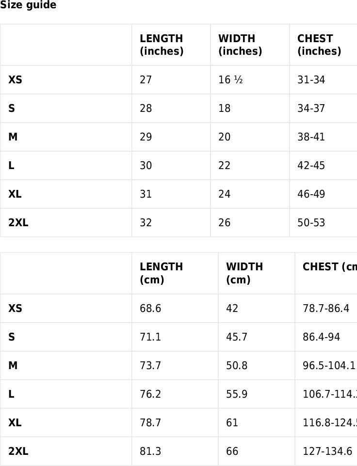 Benjamin Franklin Cool t-shirt