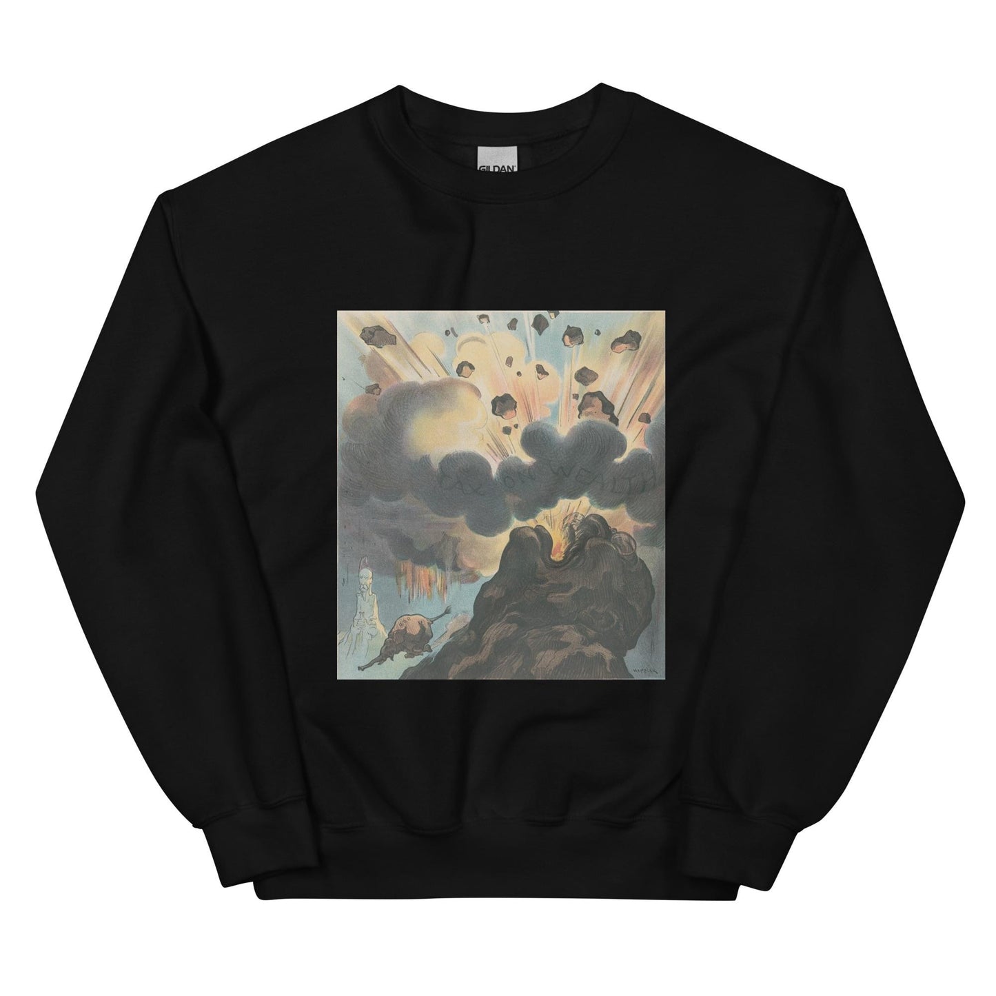 Tax the Wealthy- Theodore Roosevelt Sweatshirt