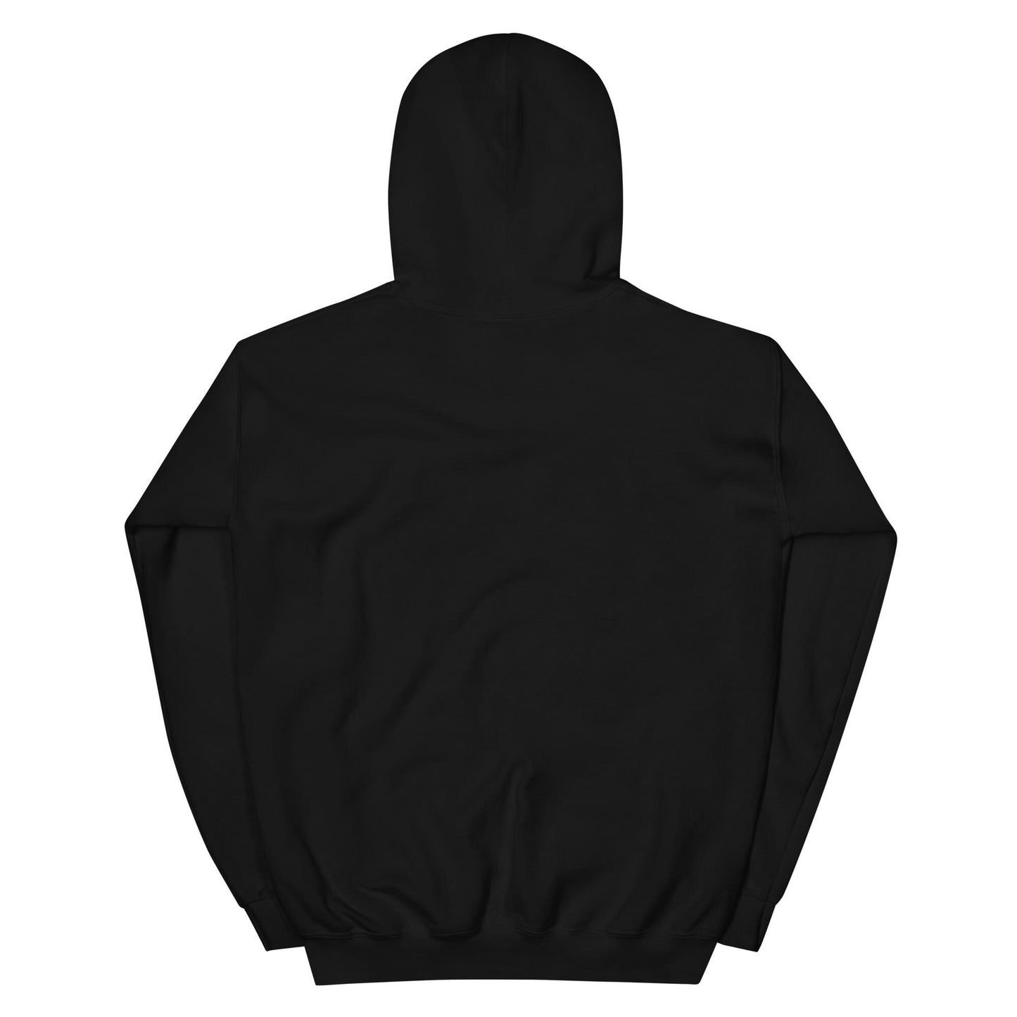 Tax the Wealthy- Theodore Roosevelt Hoodie