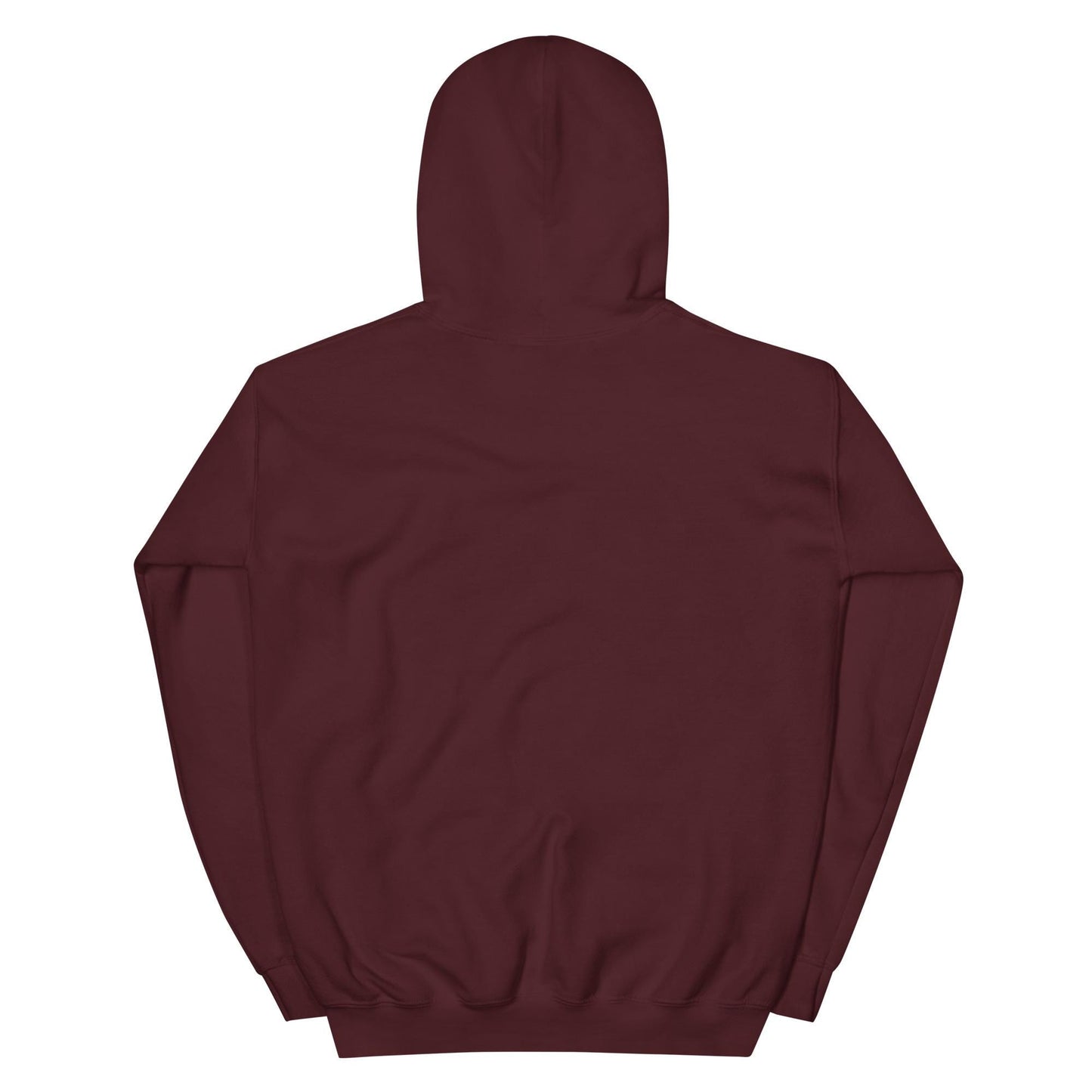 Tax the Wealthy- Theodore Roosevelt Hoodie