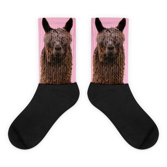 Llama Socks