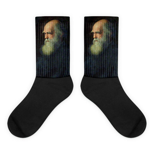 Charles Darwin Socks