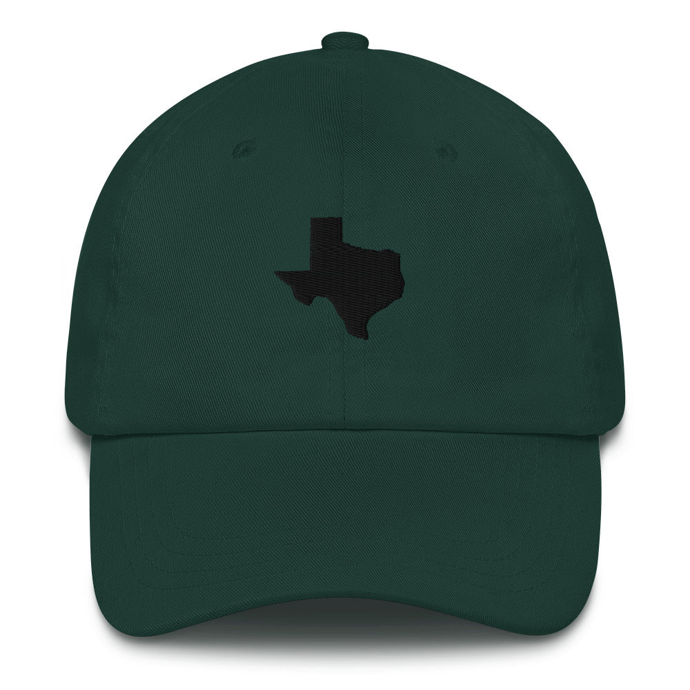 Texas baseball hat - One Small Step History